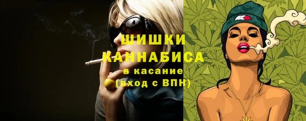 молекула духа Богородск