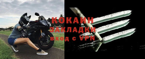 кокс Богородицк