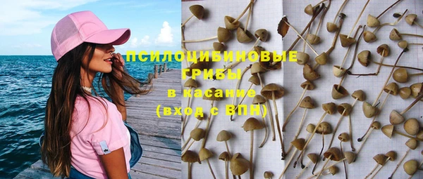 кокс Богородицк
