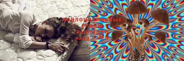 марки lsd Заполярный
