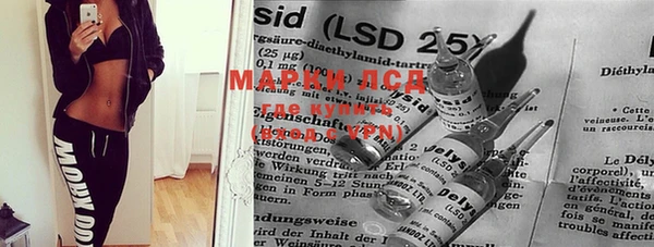 PSILOCYBIN Белокуриха